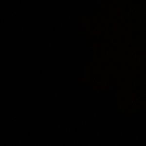 Meet your Posher, Elijah